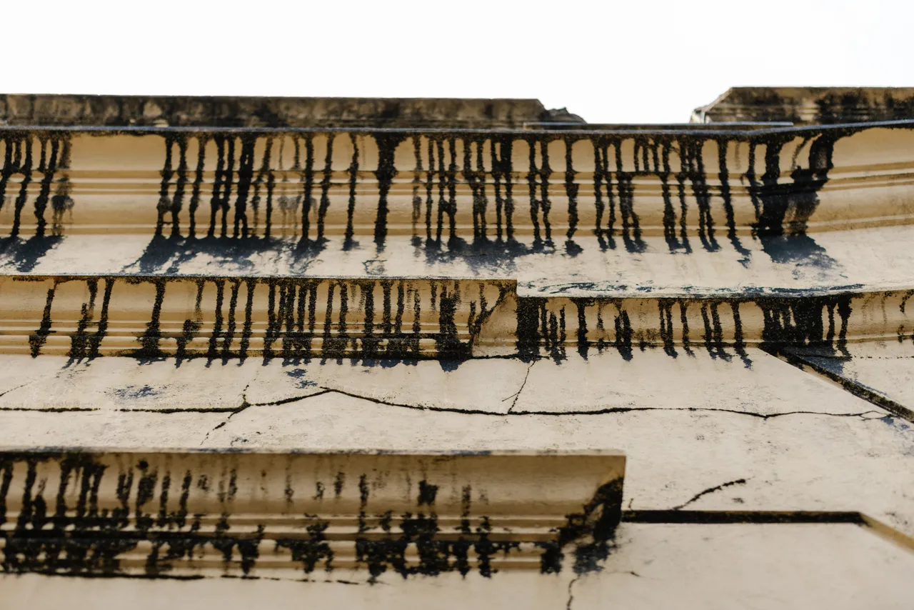 West Coast Paint Texture