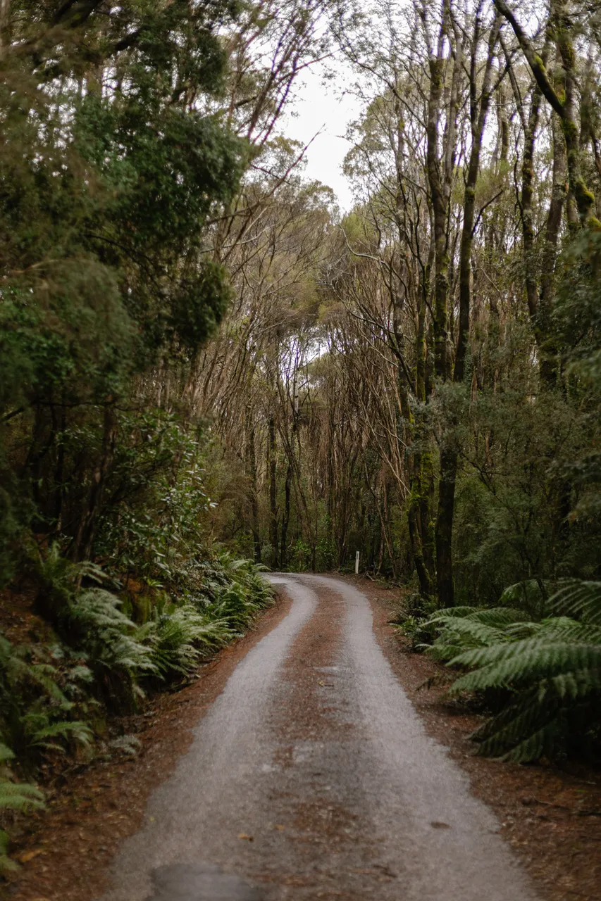 West Coast Track