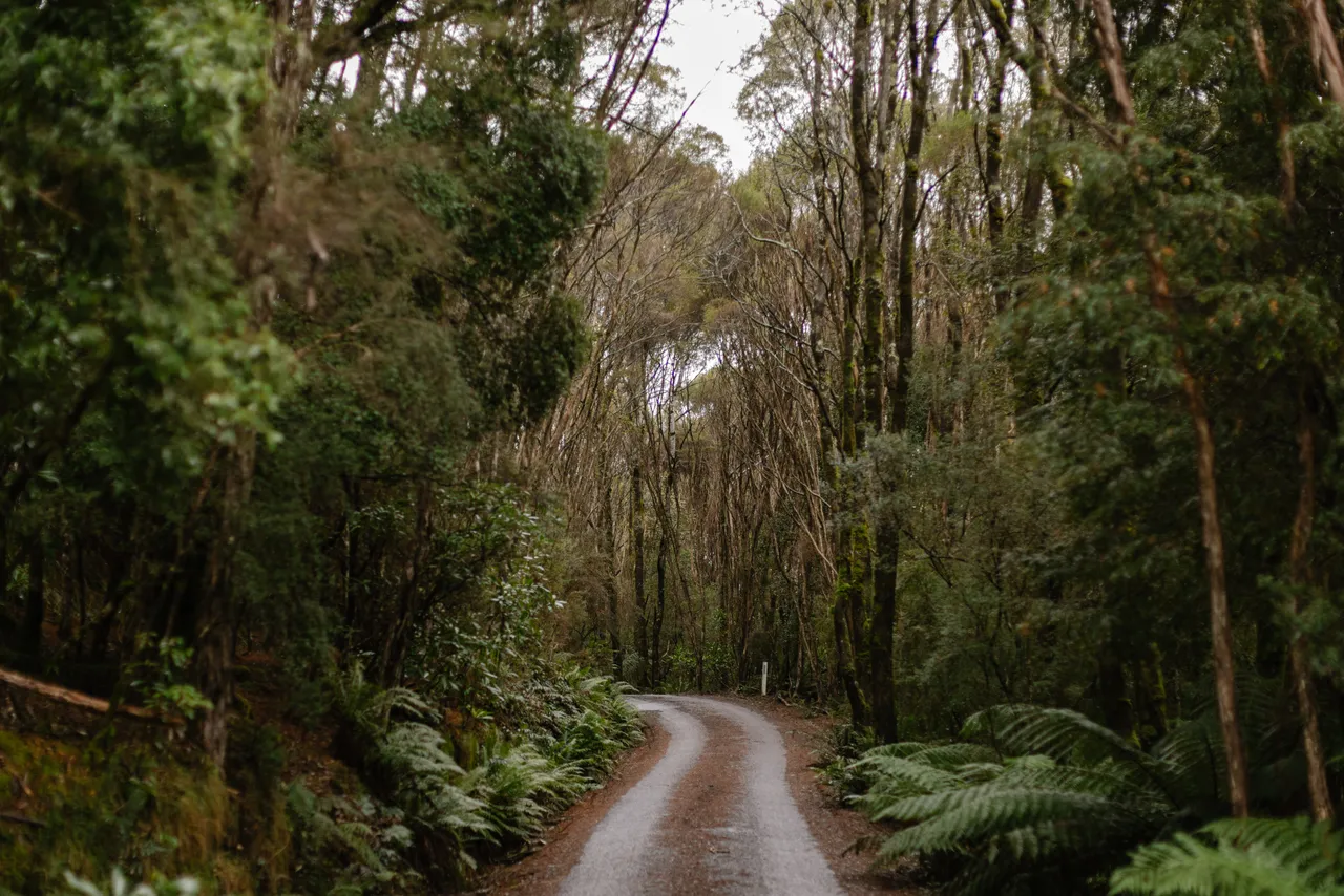 West Coast Track