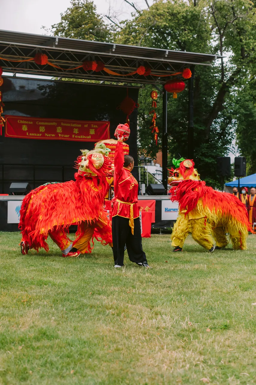 Chinese Lunar New Year