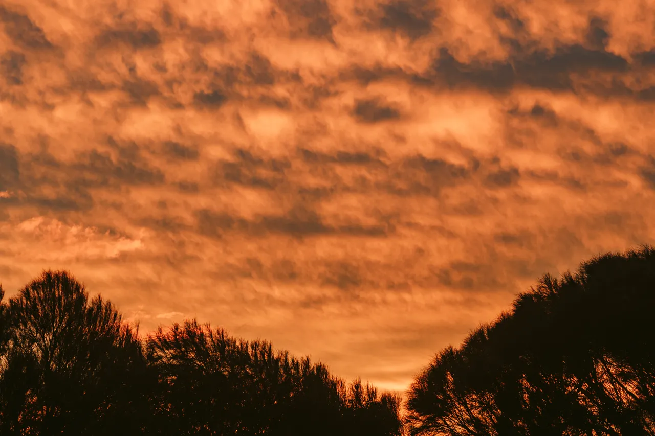 Flinders Island Sunset