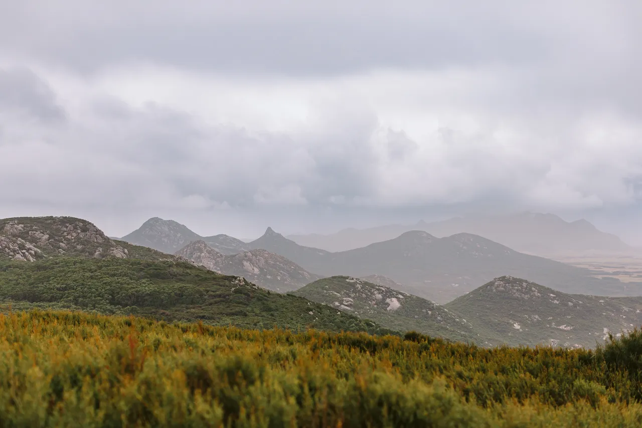 Flinders Island