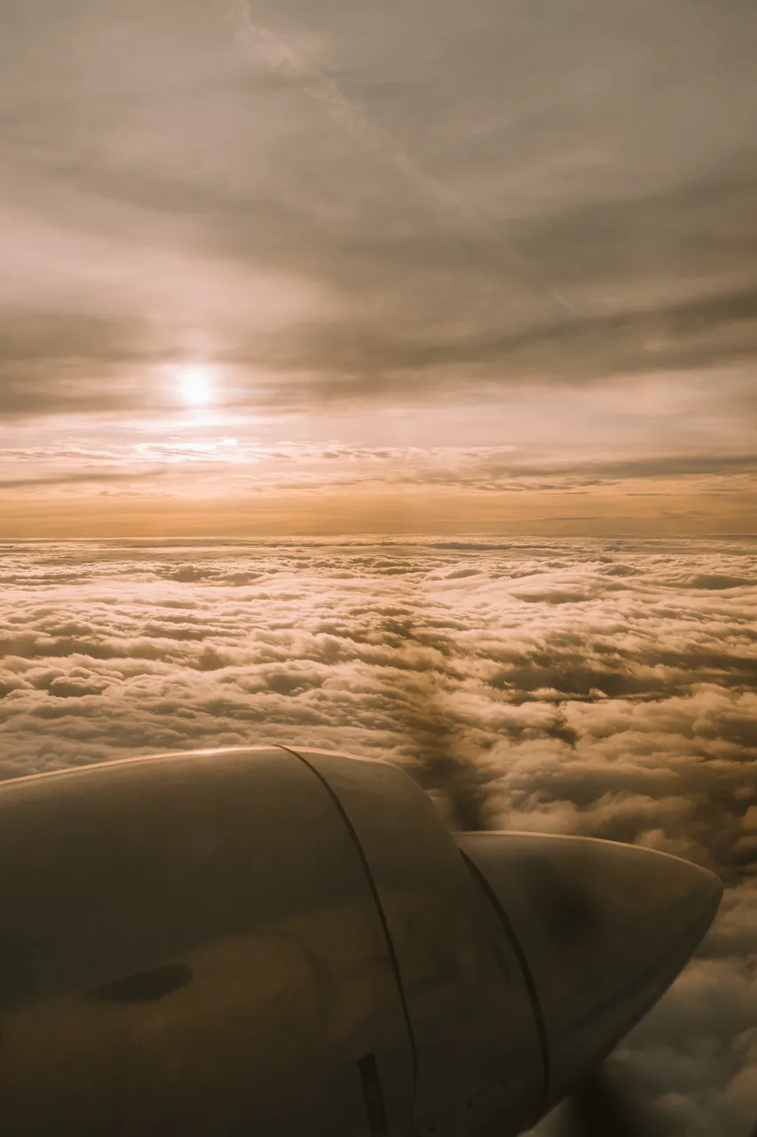 Sharp Airlines Flinders Flight
