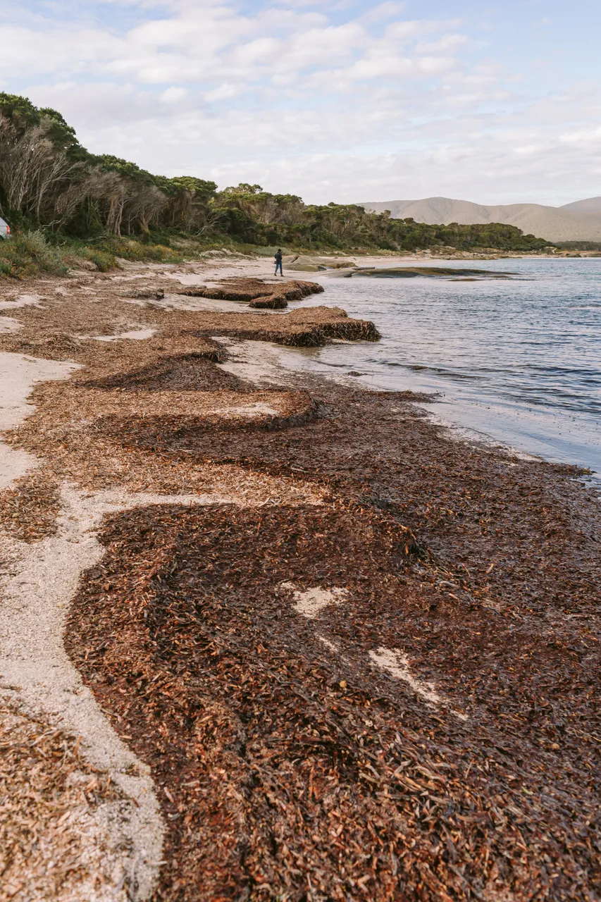 Flinders Island Beach Tide Out