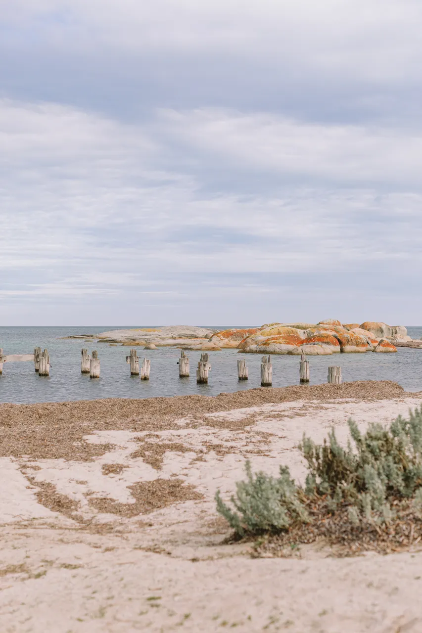 Flinders Island Beach