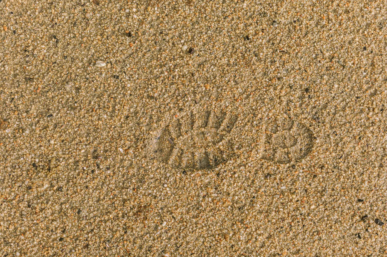 Boot Print in Sand