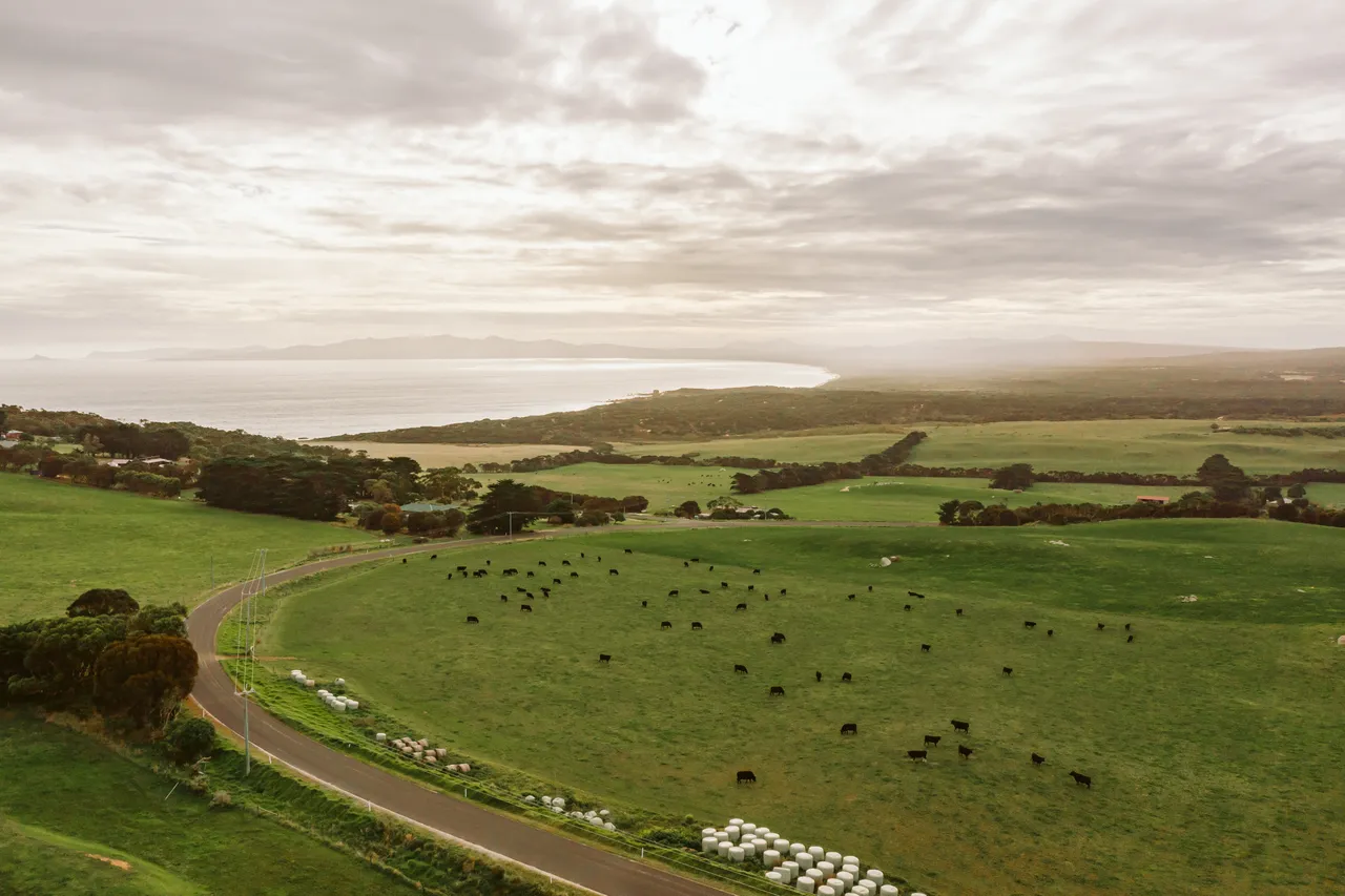 Flinders Island