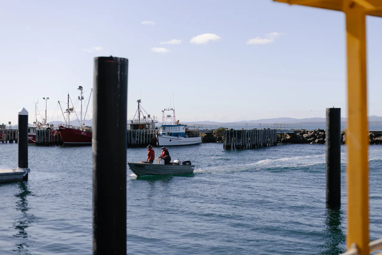 Boat Approaching Dock