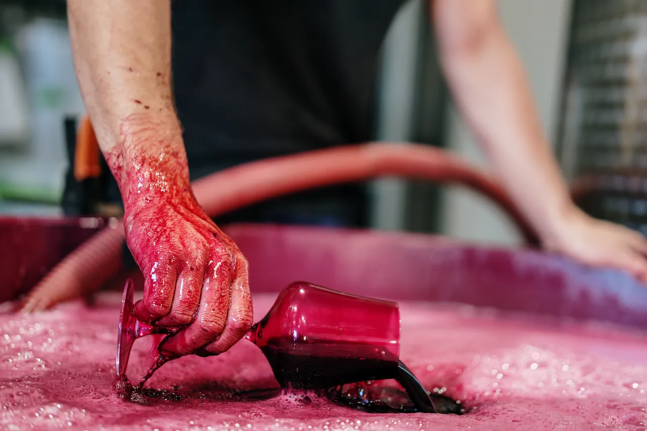 Winemaking at Utzinger