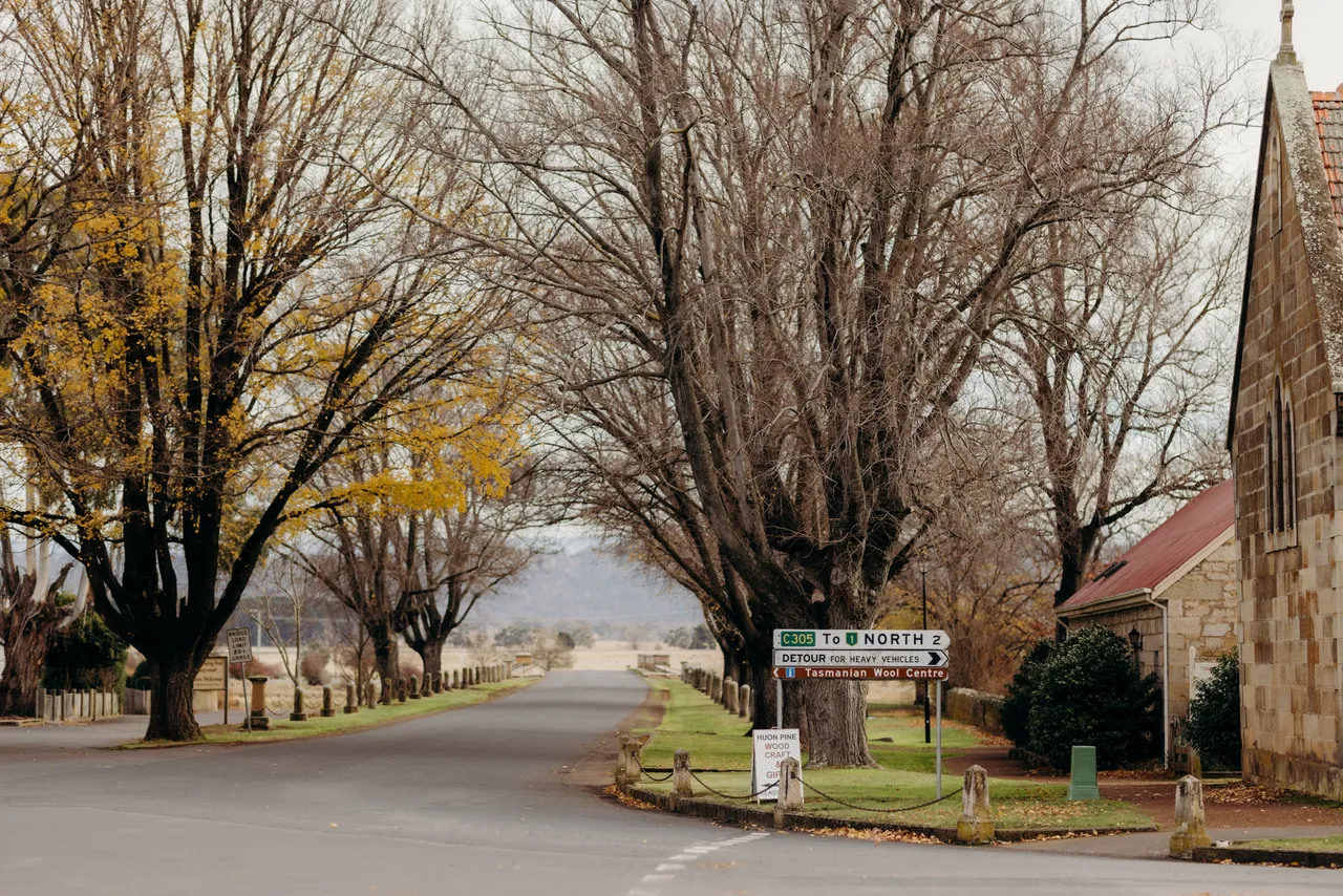 Ross Autumn Streetscape