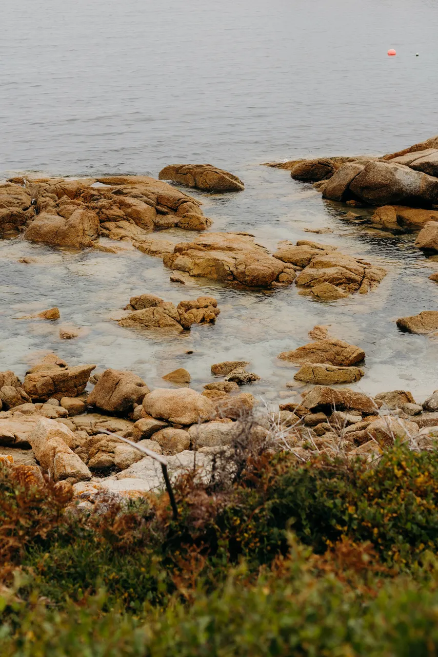 Bicheno Coastline