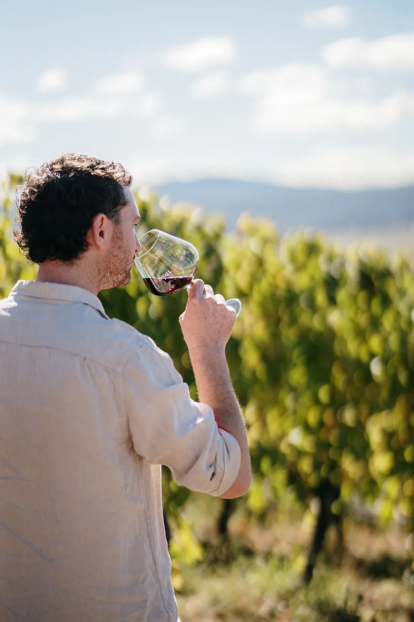 Wine Tasting at Evenfall Winery