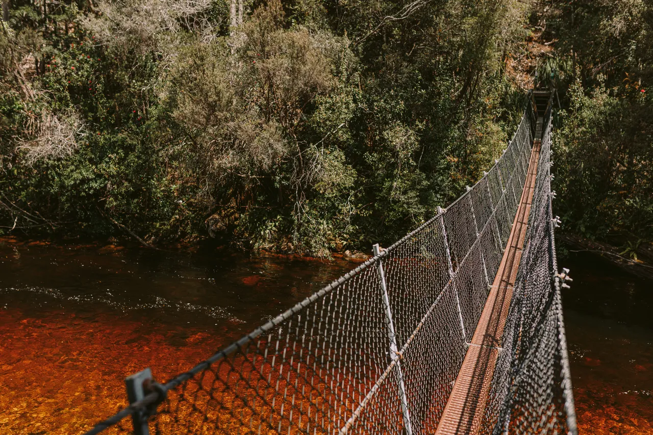 Frenchmans Cap Suspension Bridge