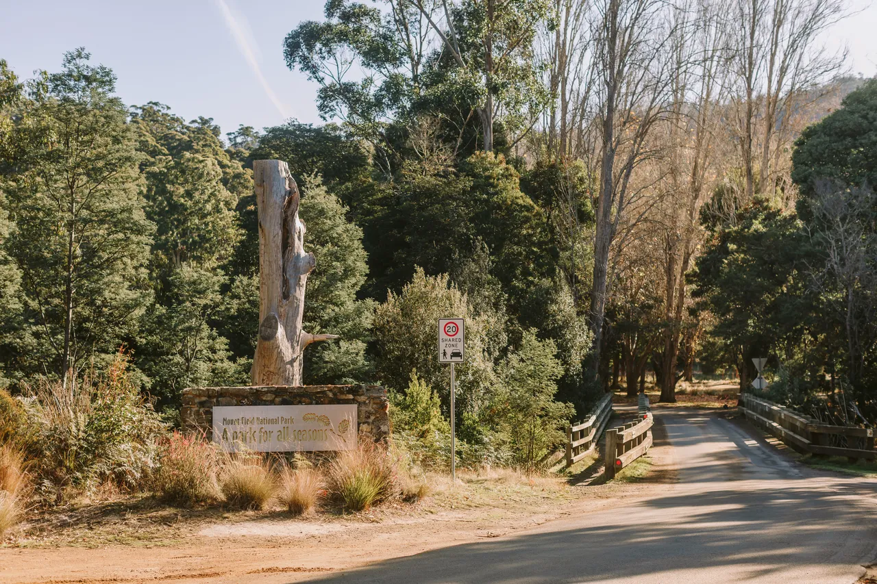 Mount Field Entrance