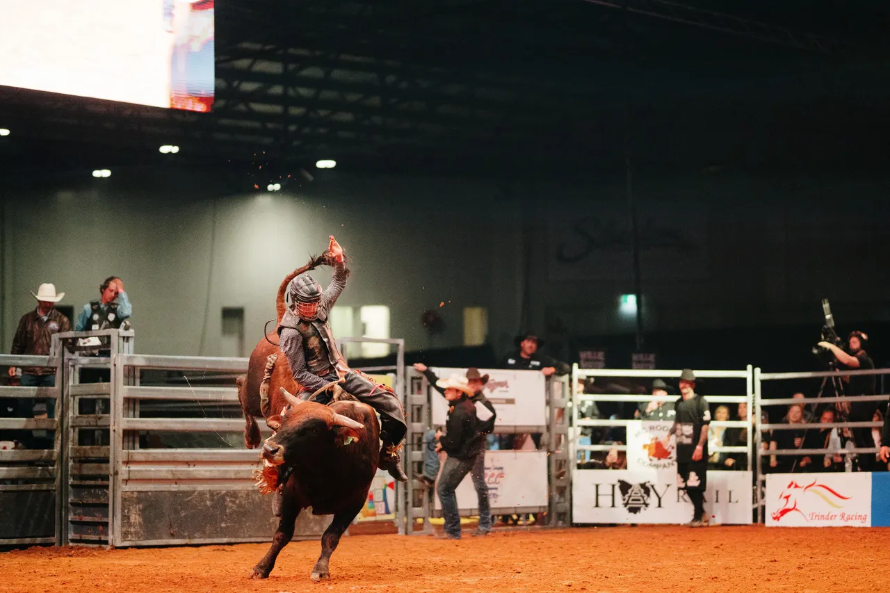 Bull Riding at the Island Stampede Rodeo