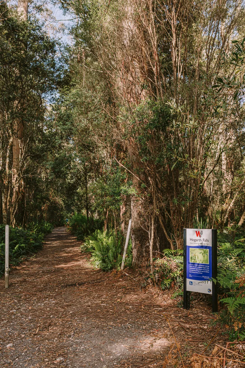 Hogarth Falls Track Signage