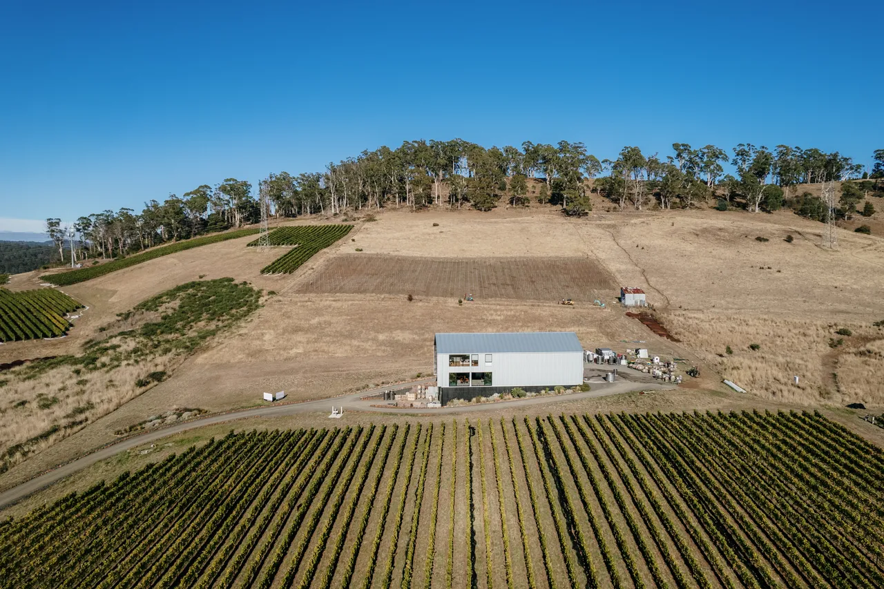Overlooking Utzinger Wines