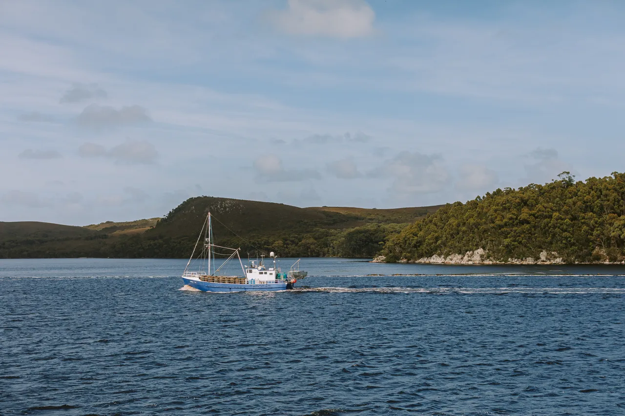 Fishing Boat in Macquarie Harbour