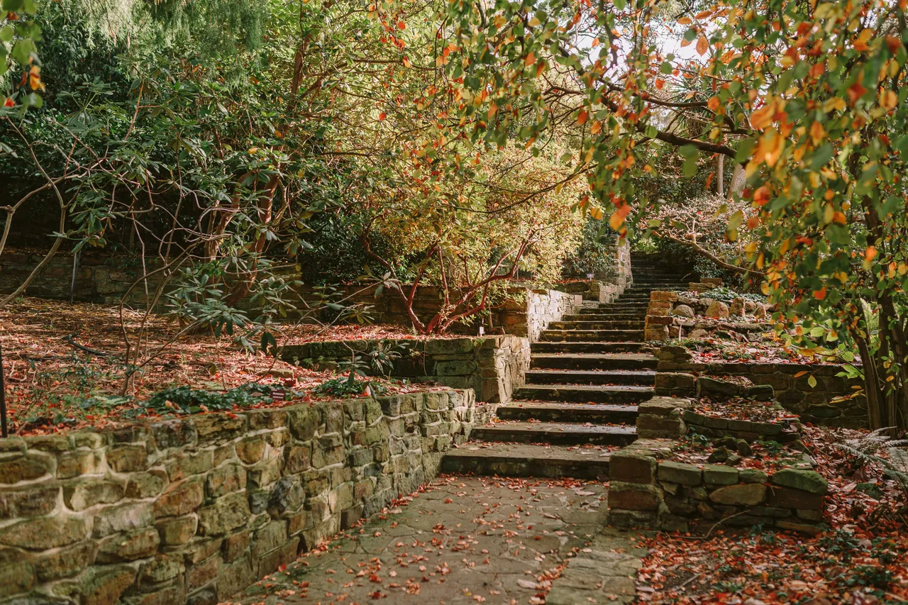 Footpath at the Royal Tasmanian Botanical Gardens