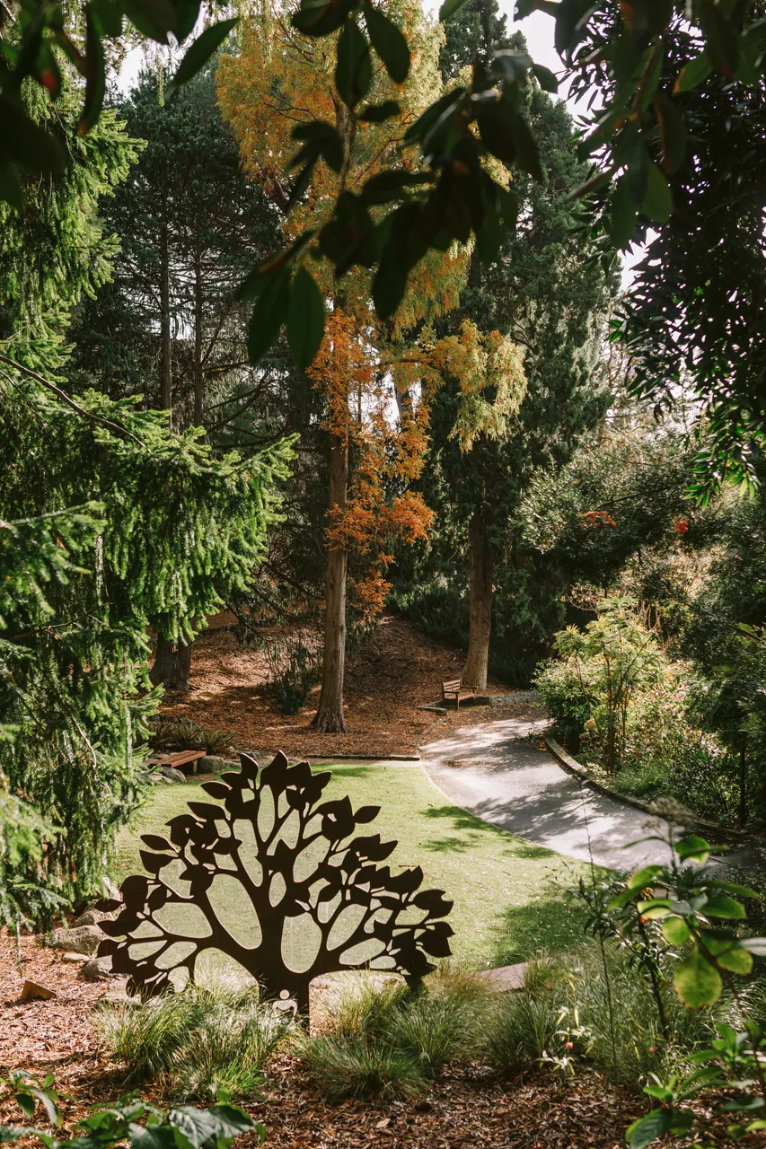 Royal Tasmanian Botanical Gardens