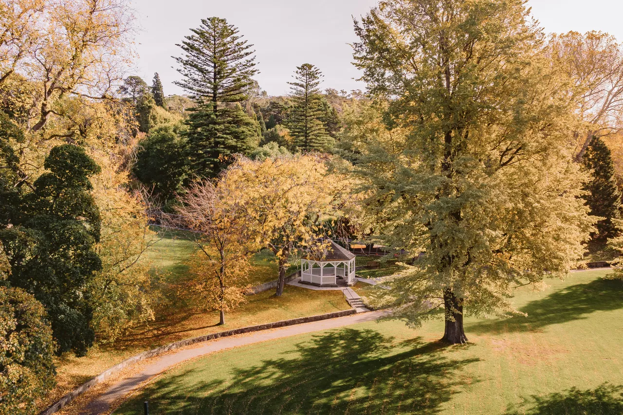 Gazebo at the Royal Tasmanian Botanical Gardens
