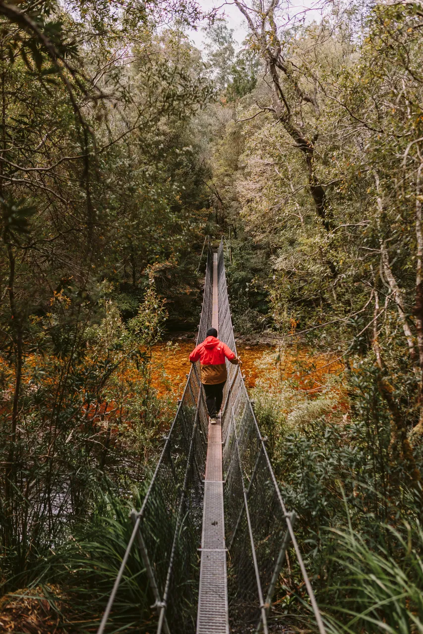 Frenchmans Cap Suspension Bridge