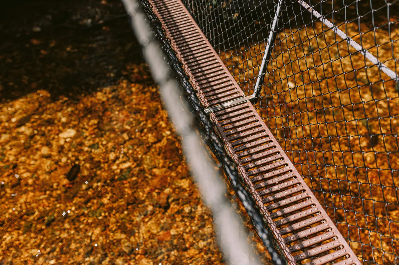Frenchmans Cap Suspension Bridge Details