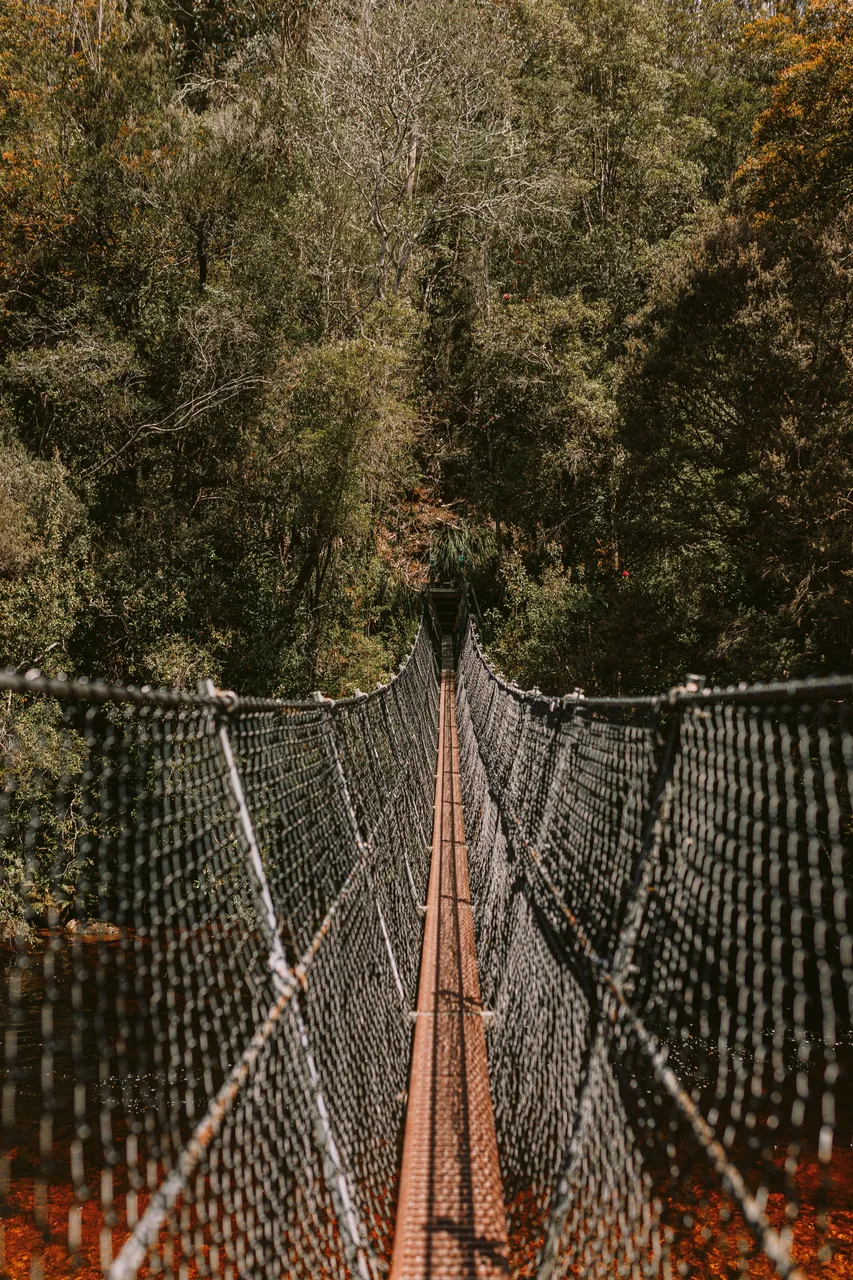 Frenchmans Cap Suspension Bridge