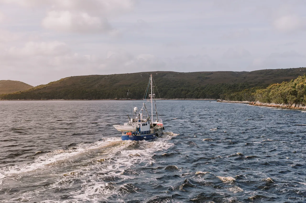 Fishing Boat in Macquarie Harbour