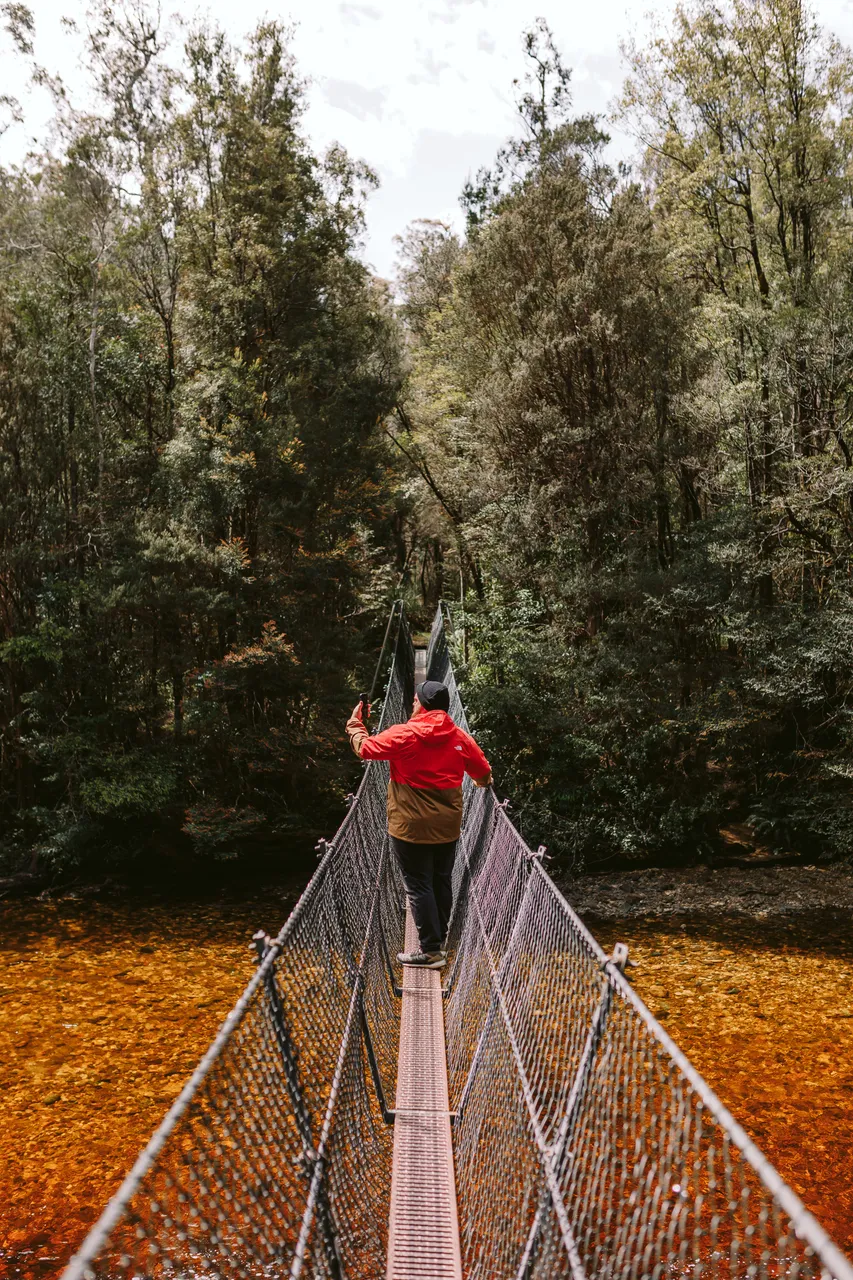 Taking Photos on Frenchmans Cap Suspension Bridge