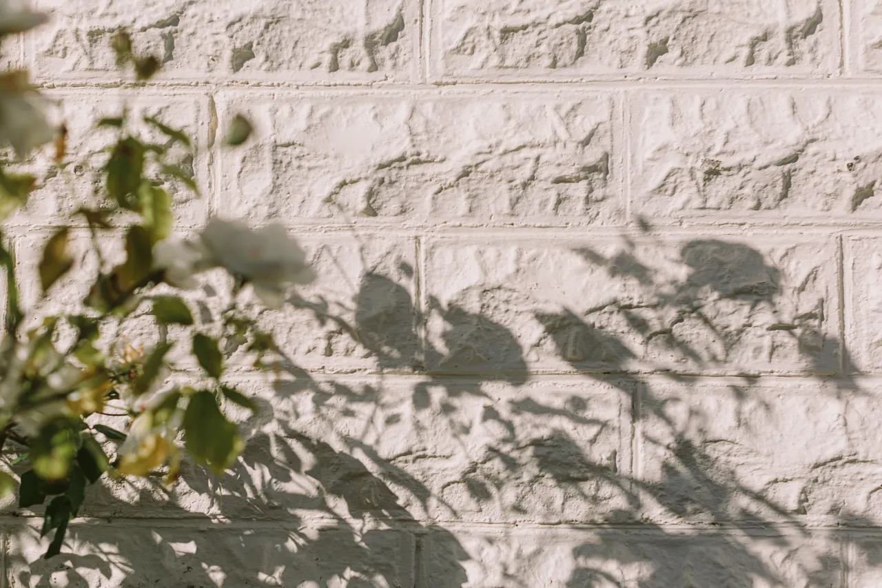 Leaf Shadows on Brick Wall