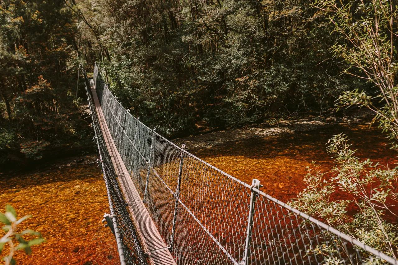 Frenchmans Cap Suspension Bridge