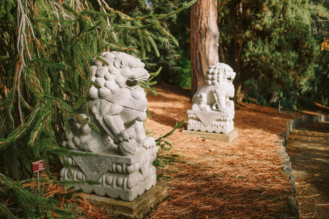 Lion Statues at the Royal Tasmanian Botanical Gardens
