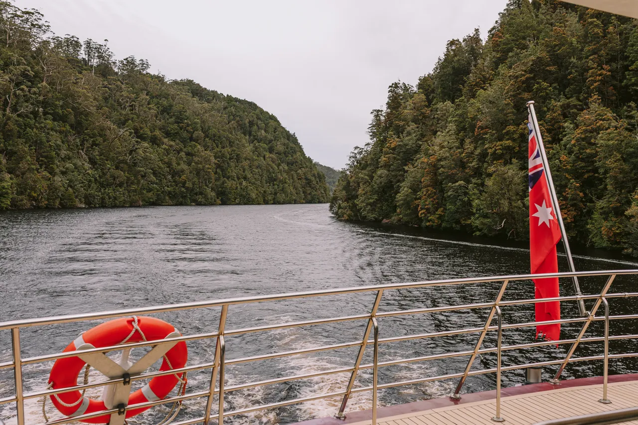 Boat Deck View of Gordon River