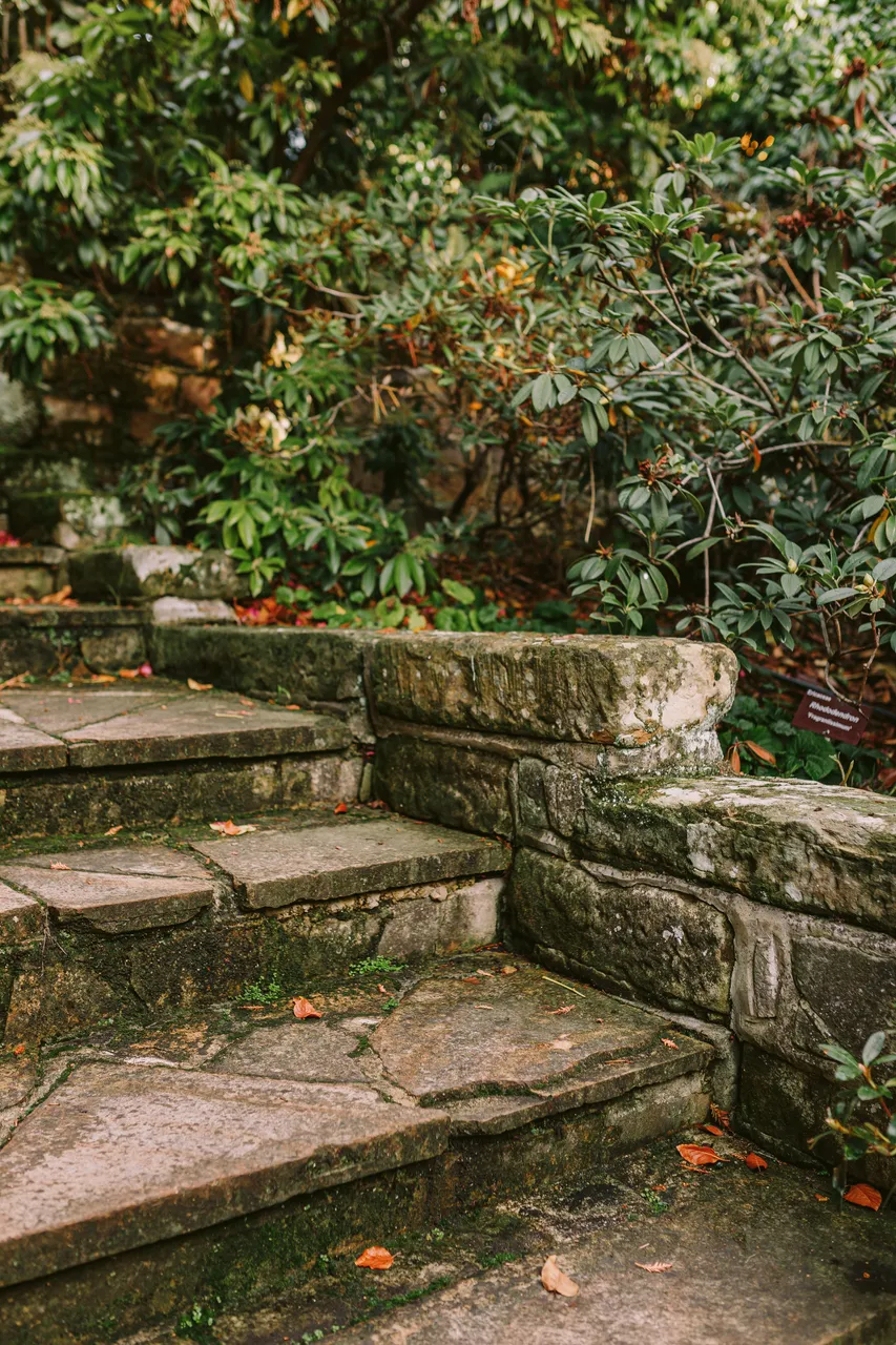 Stone Steps at the Royal Tasmanian Botanical Gardens