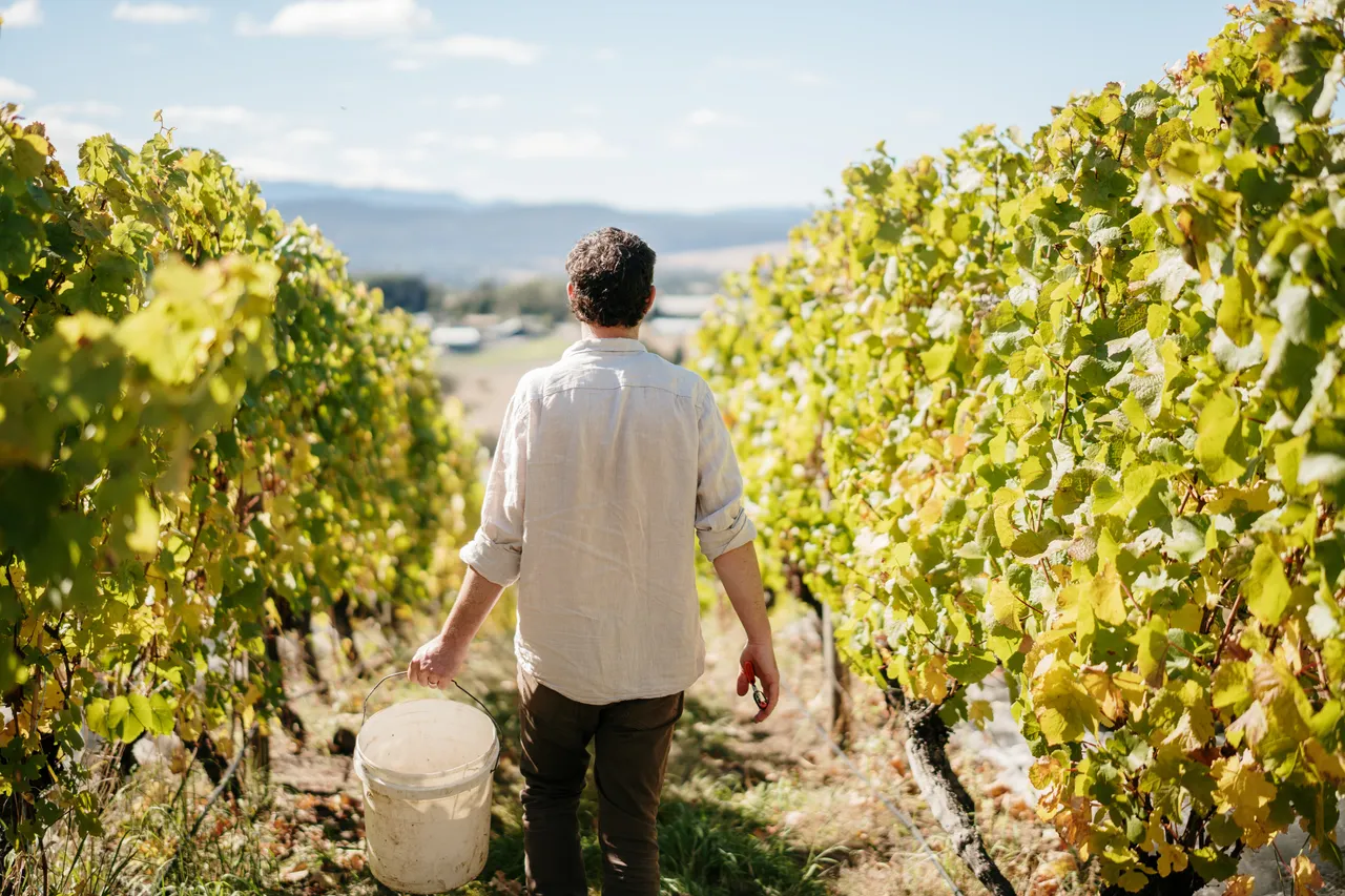 Evenfall Winery