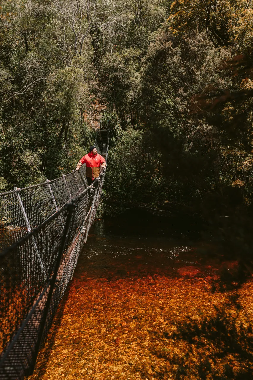 Frenchmans Cap Suspension Bridge