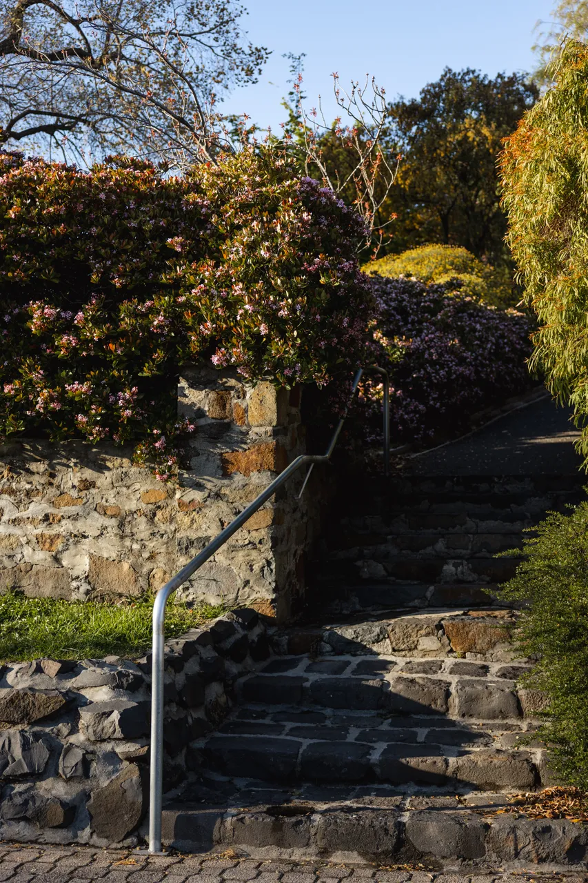 Princes Park in Spring