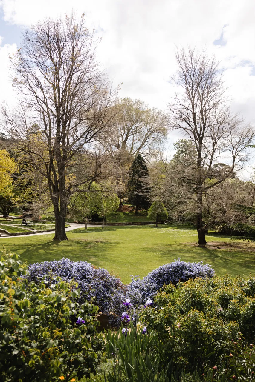 Royal Tasmanian Botanical Gardens