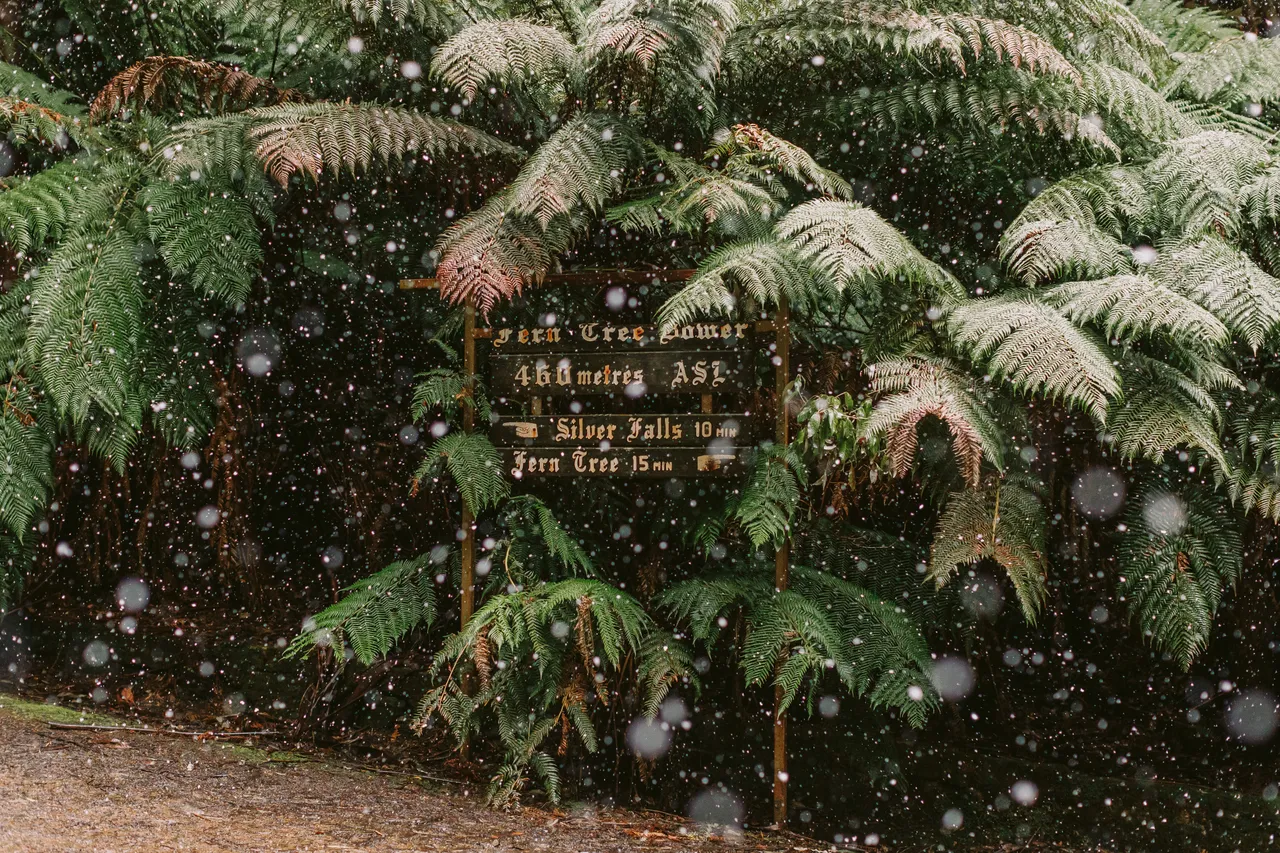 Walking Trail Sign in the Snow