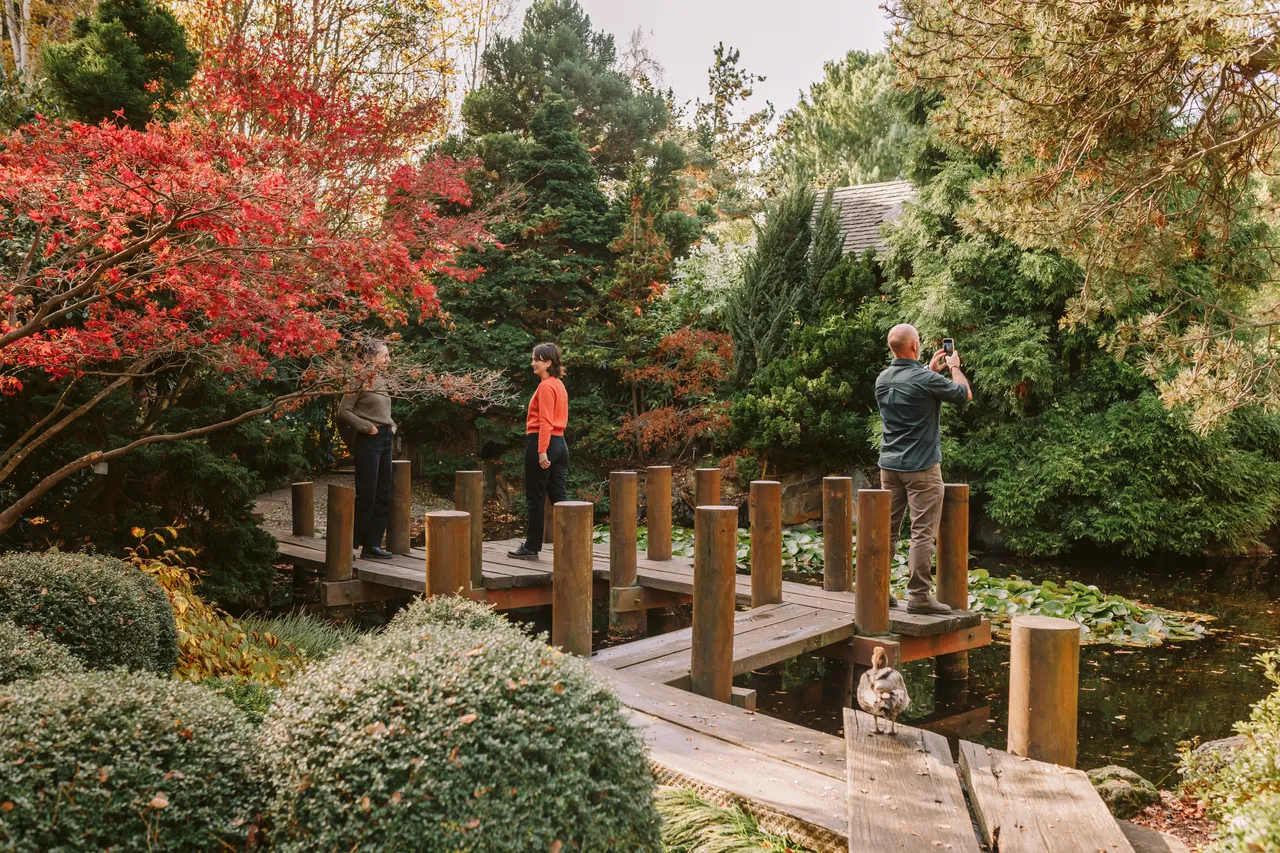 Japanese Garden at the Royal Tasmanian Botanical Gardens