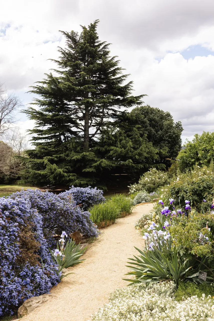 Royal Tasmanian Botanical Gardens