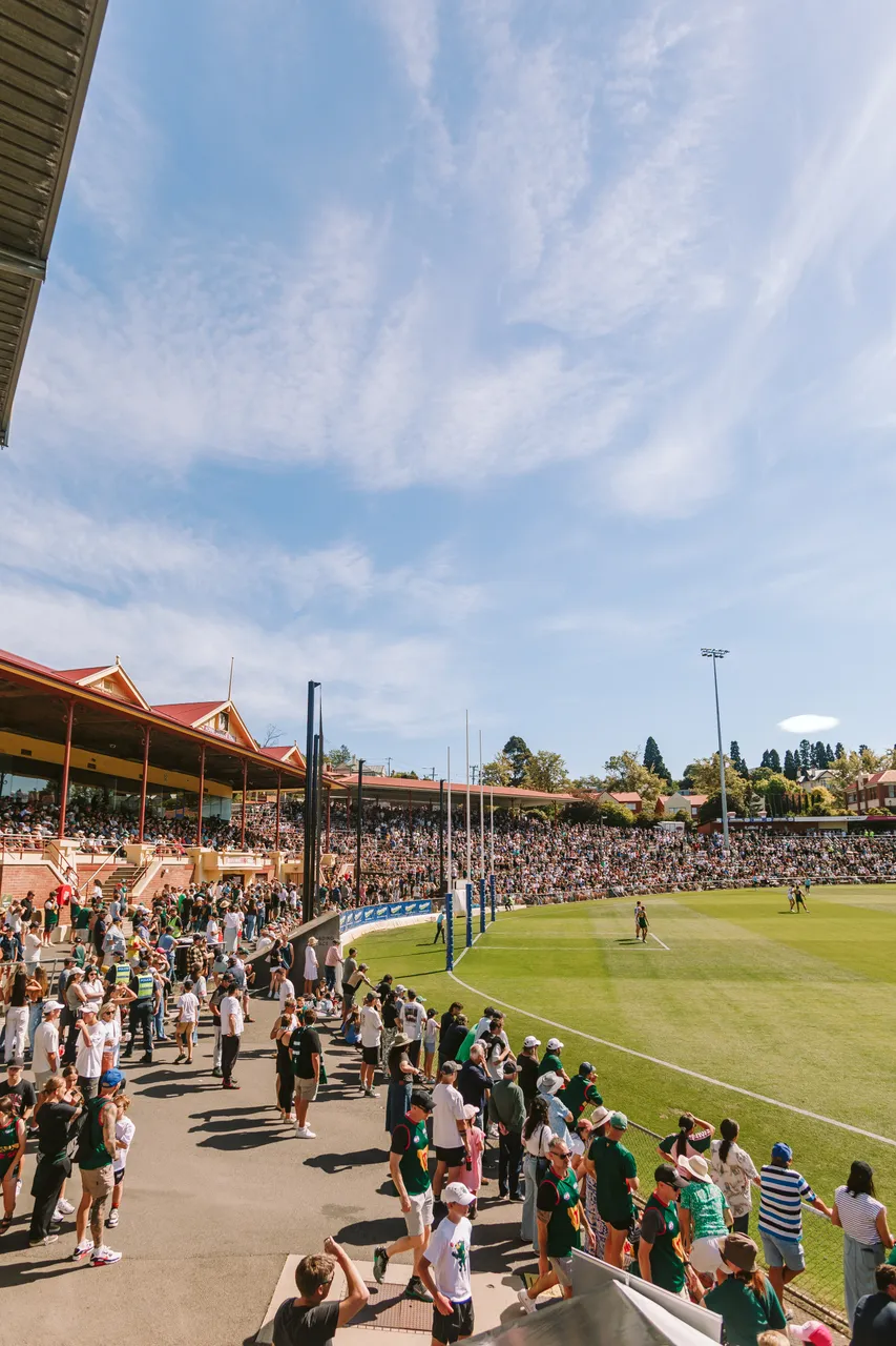 Spectators at Tasmania Devils Game