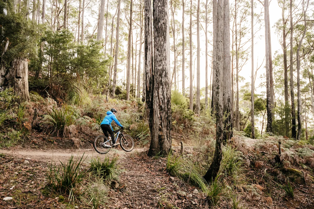 Mountain Biking in Derby