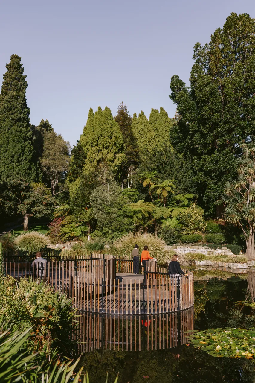 Pond at the Royal Tasmanian Botanical Gardens