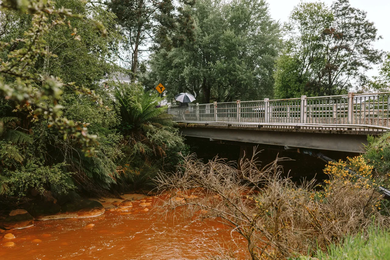 Queen River Queenstown