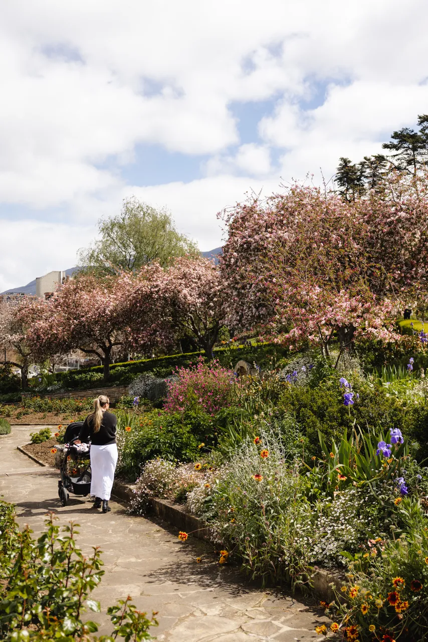  University Rose Gardens