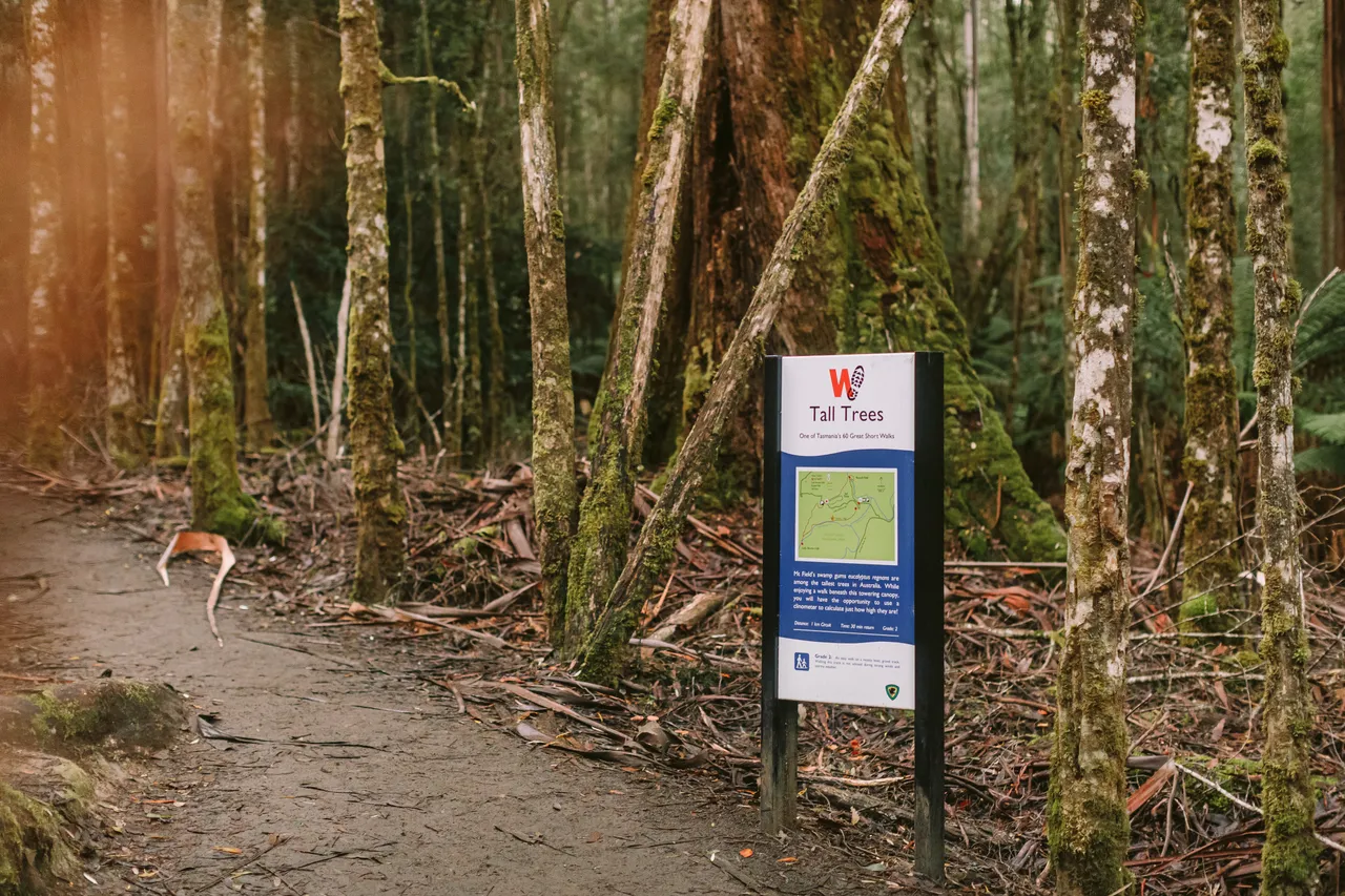 Mt Field Walking Track and Directional Sign