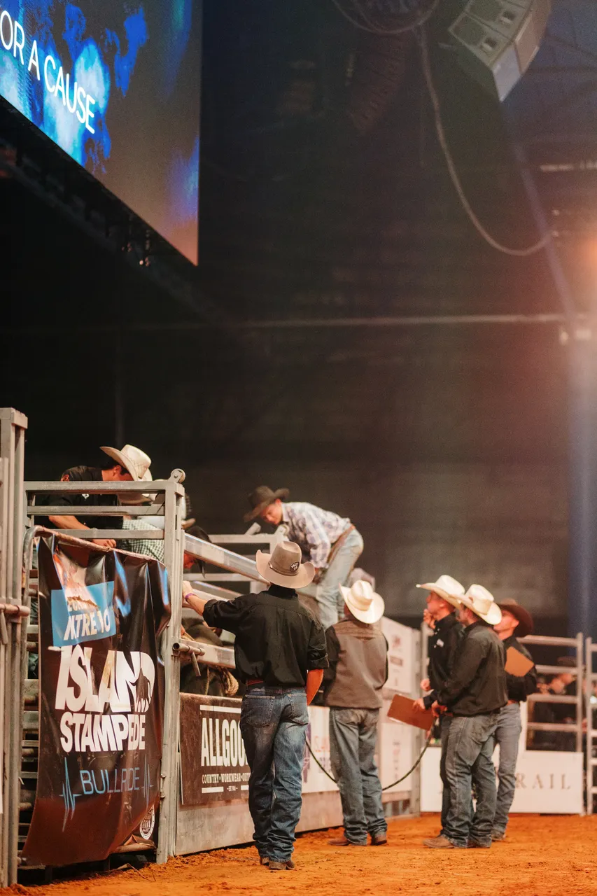 Bull Riders at the Island Stampede Rodeo