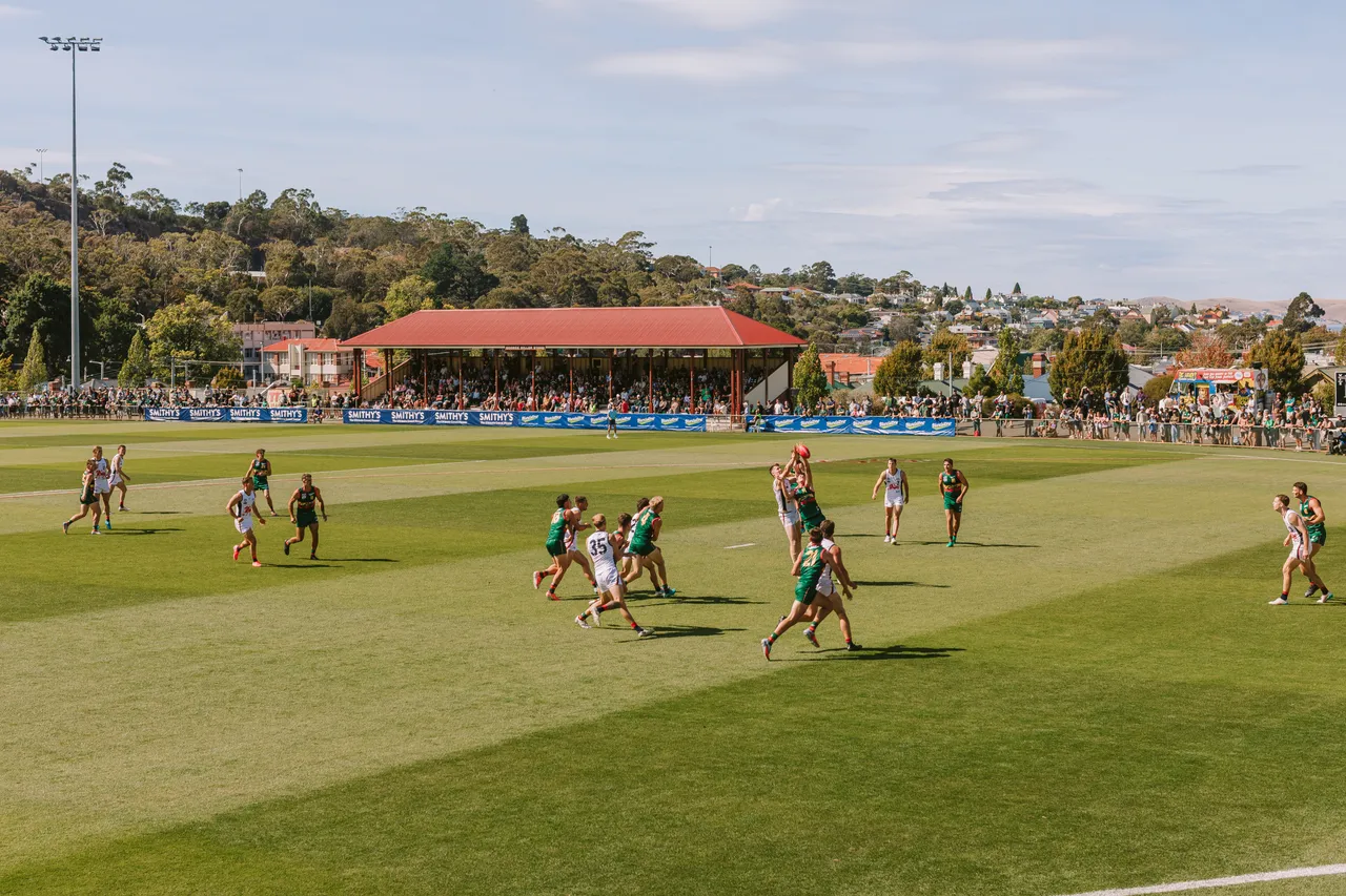 Tasmania Devils Game